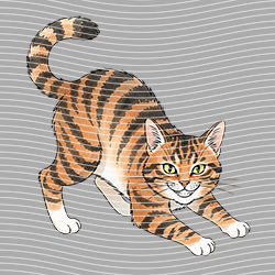 Animal Text Series-AT 3513